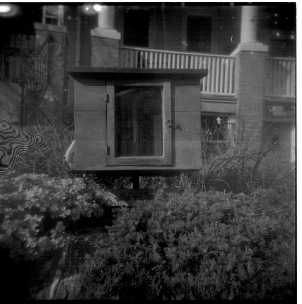 Small photo of Little Free Library amidst shrubbery