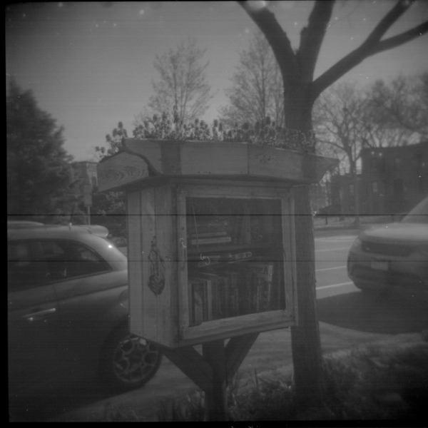 Small photo of Little Free Library with Green Roof!
